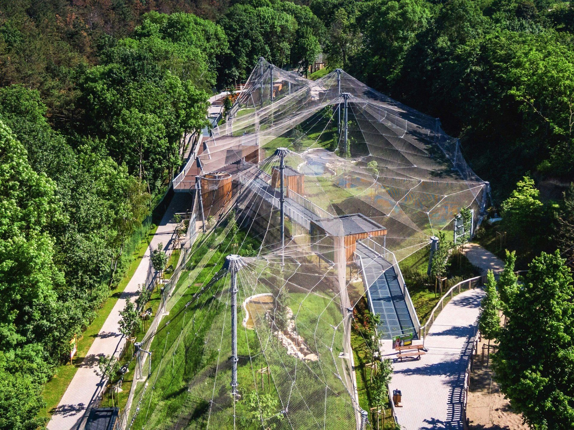 Enclosures for big cats