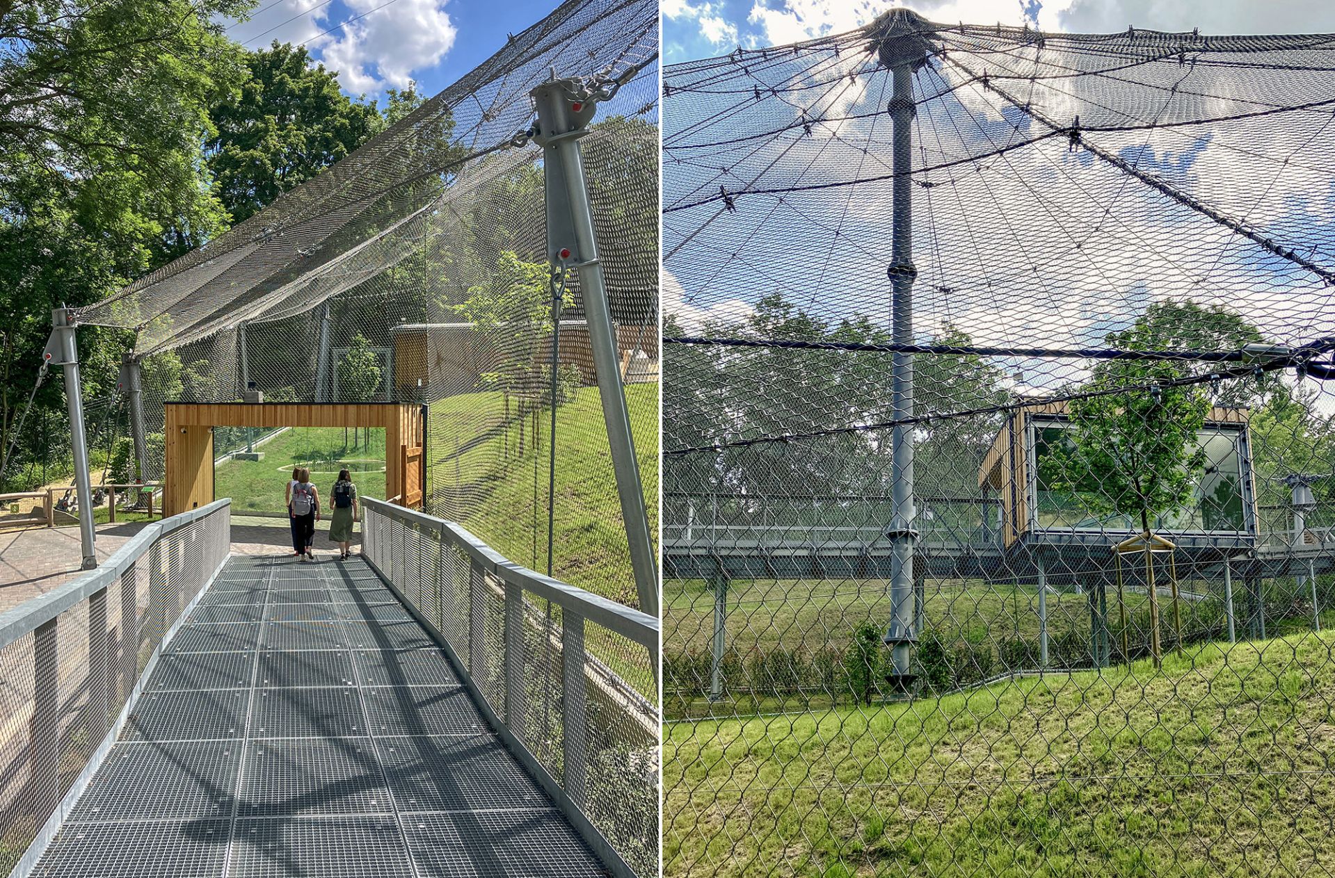 Enclosures for big cats