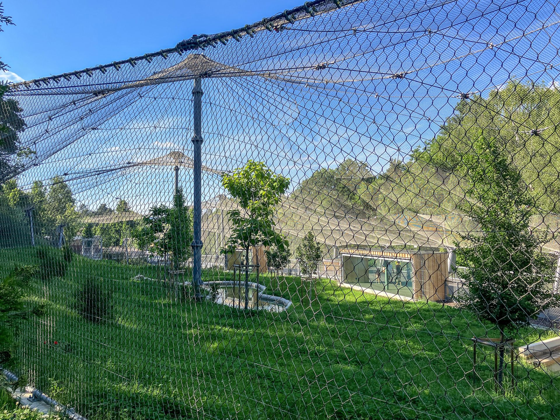 Enclosures for big cats
