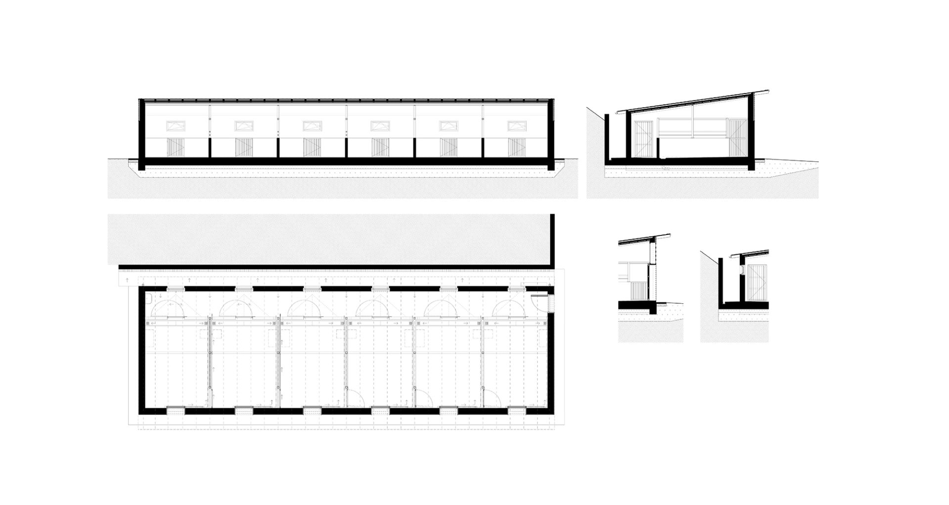 Háziállat bemutató