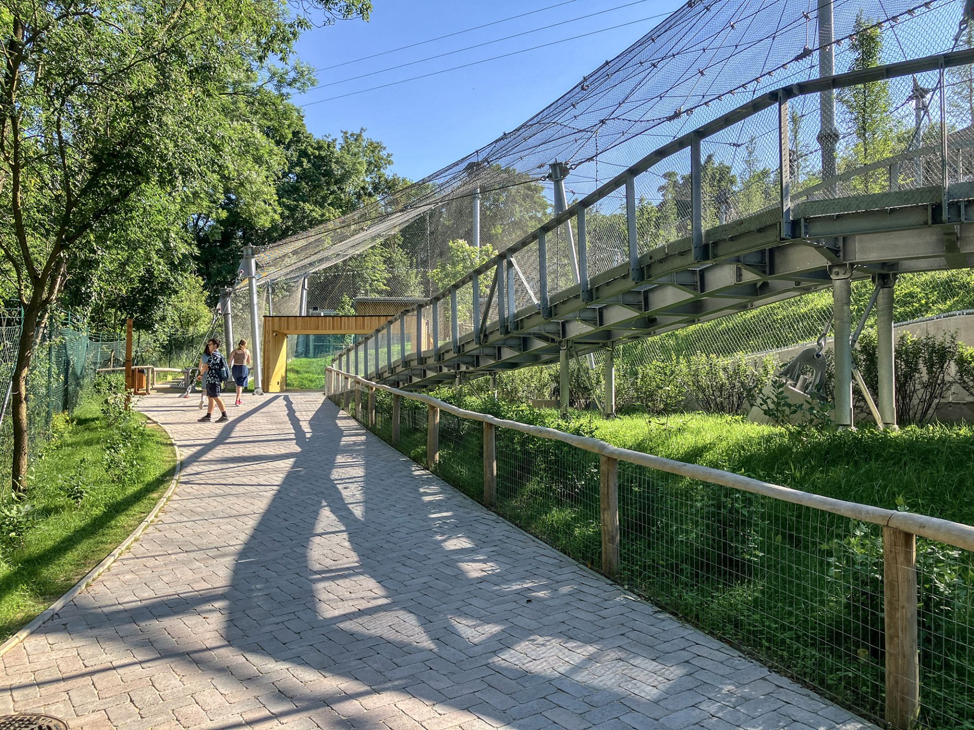 Enclosures for big cats