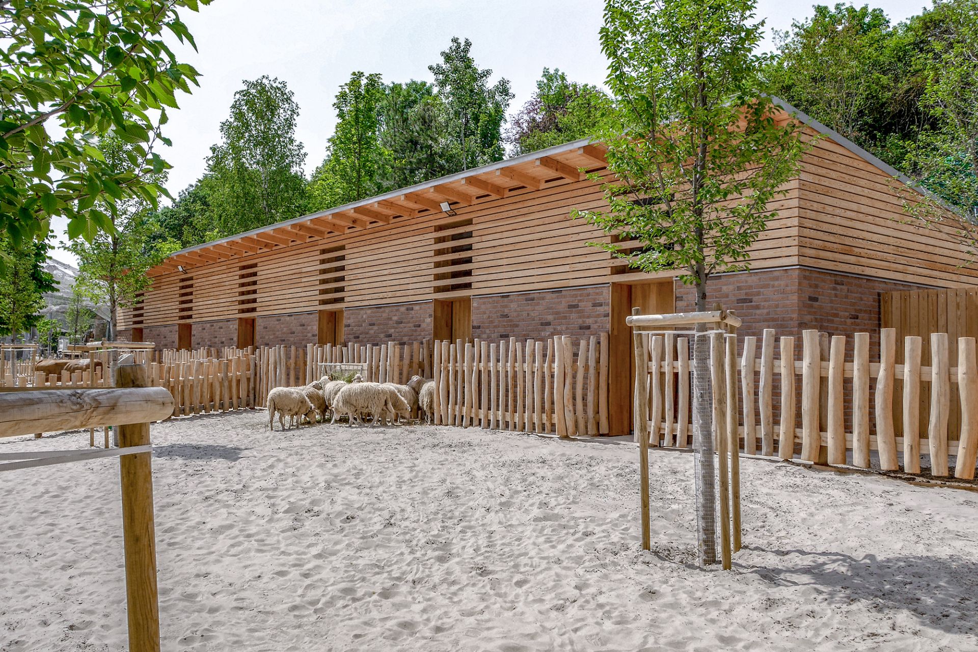 Háziállat bemutató