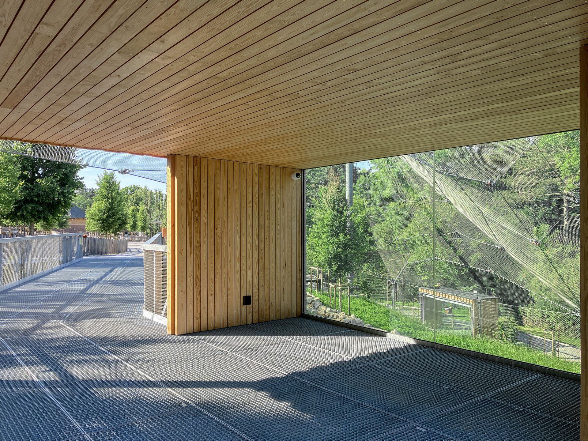 Enclosures for big cats