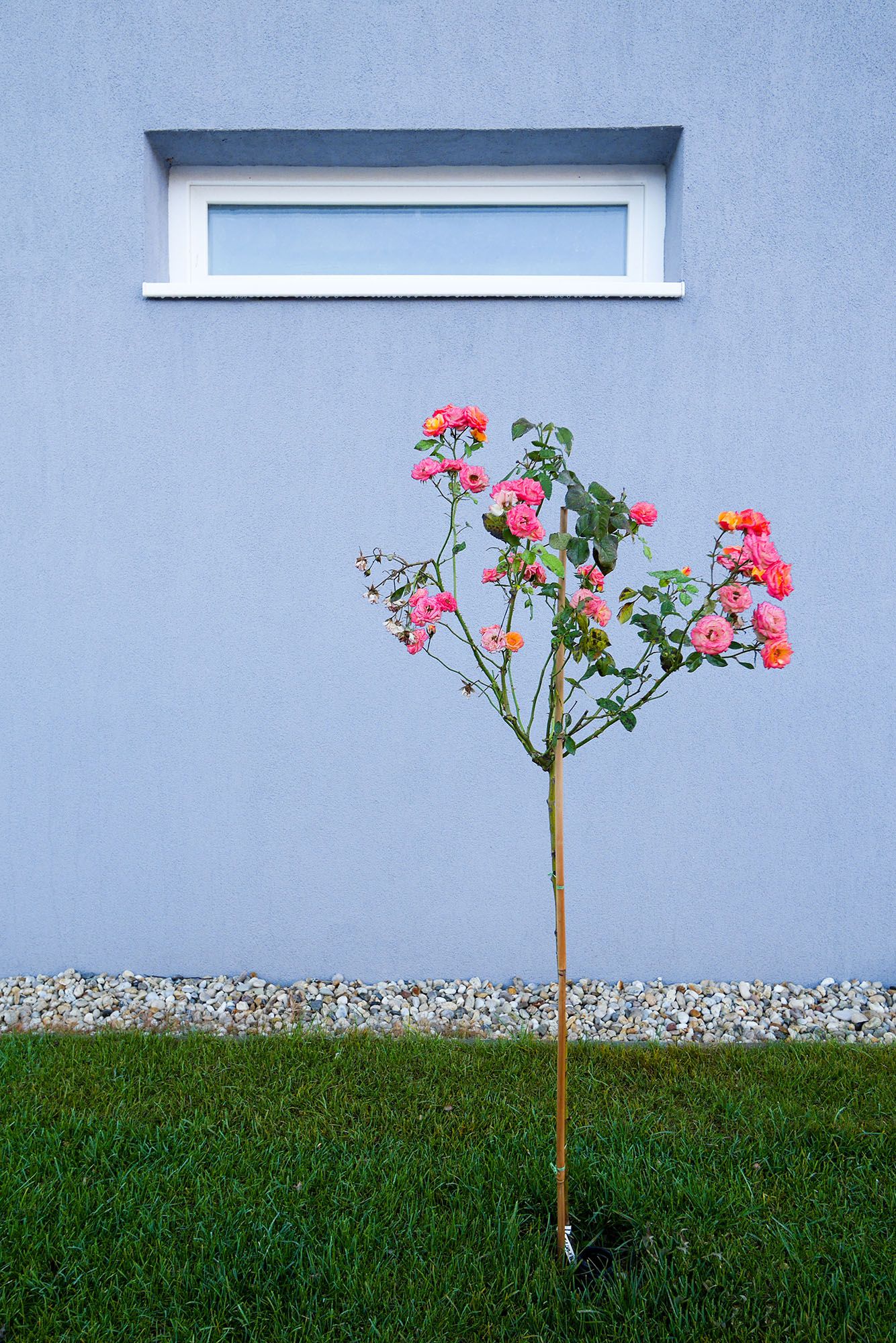 Harmónia társasházak