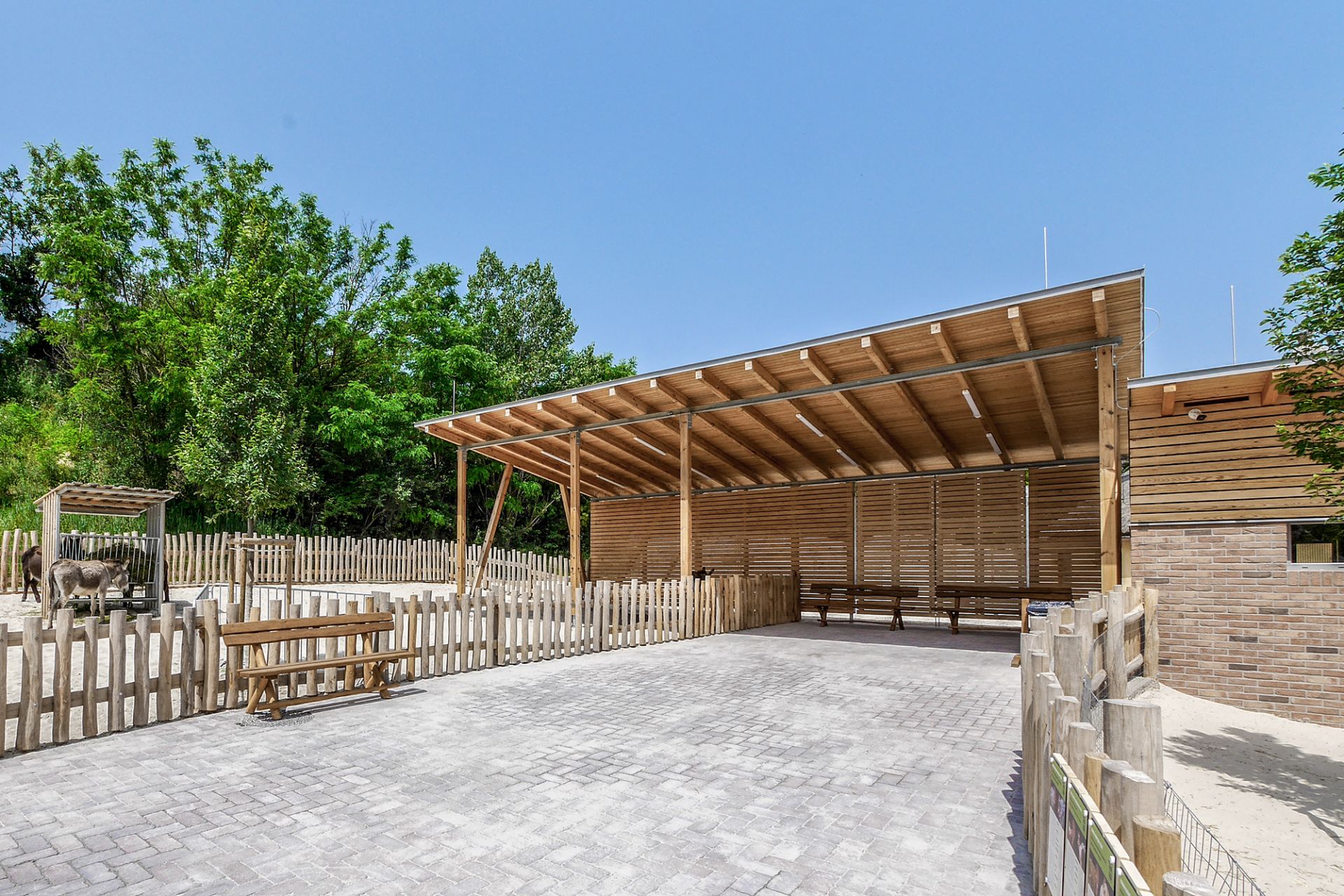 Háziállat bemutató