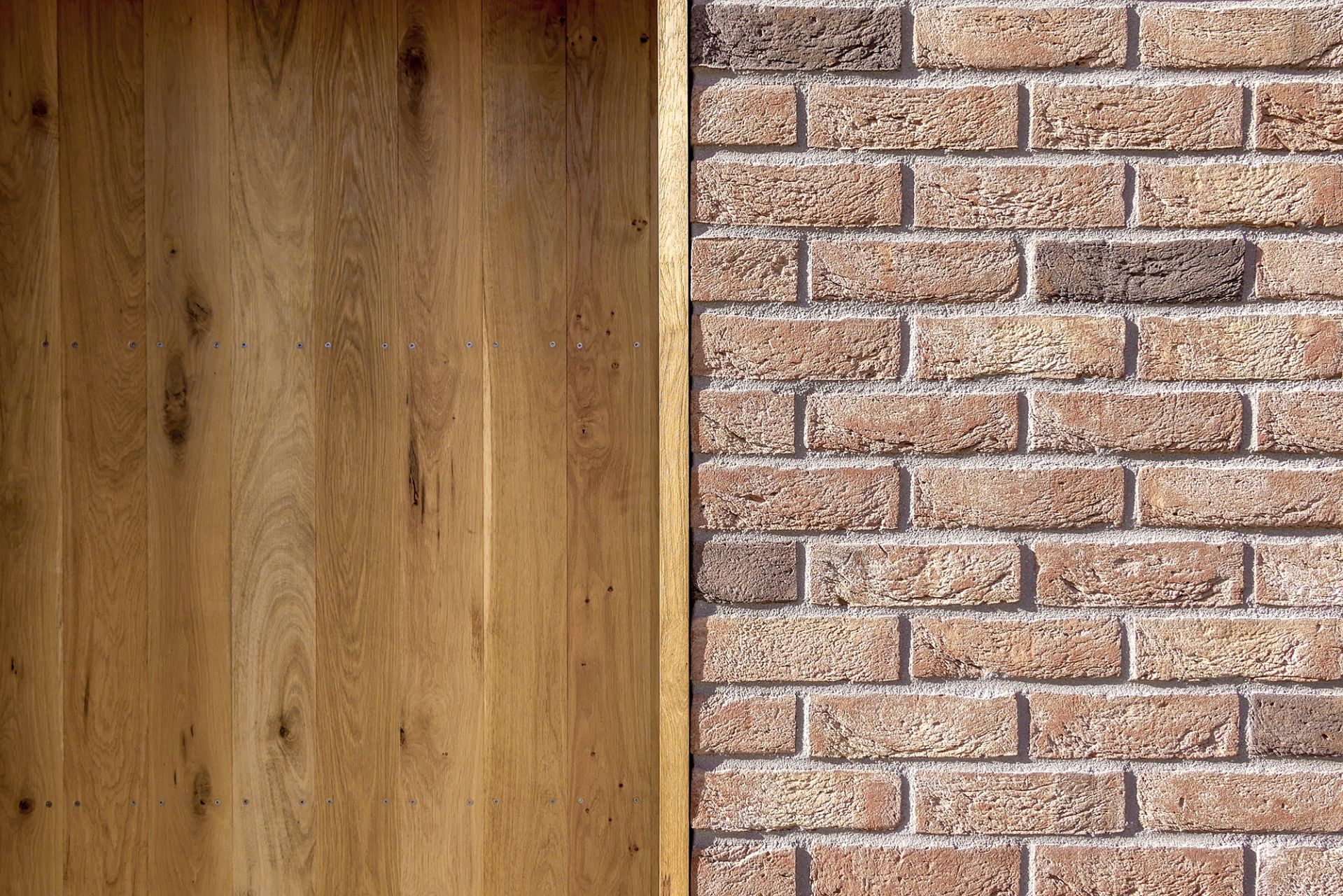 Háziállat bemutató