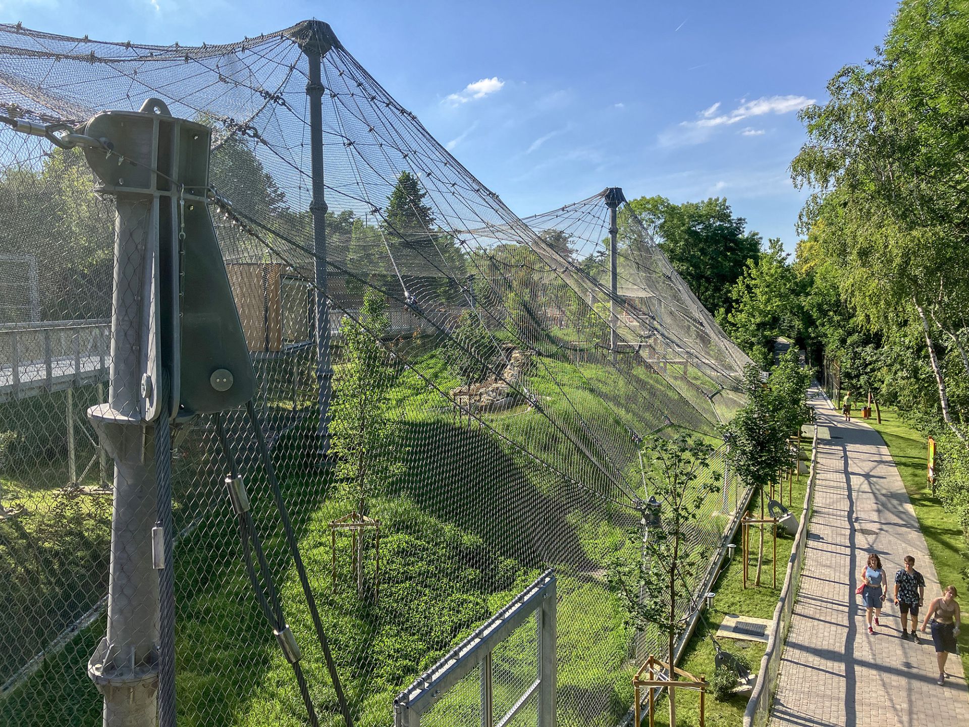 Enclosures for big cats