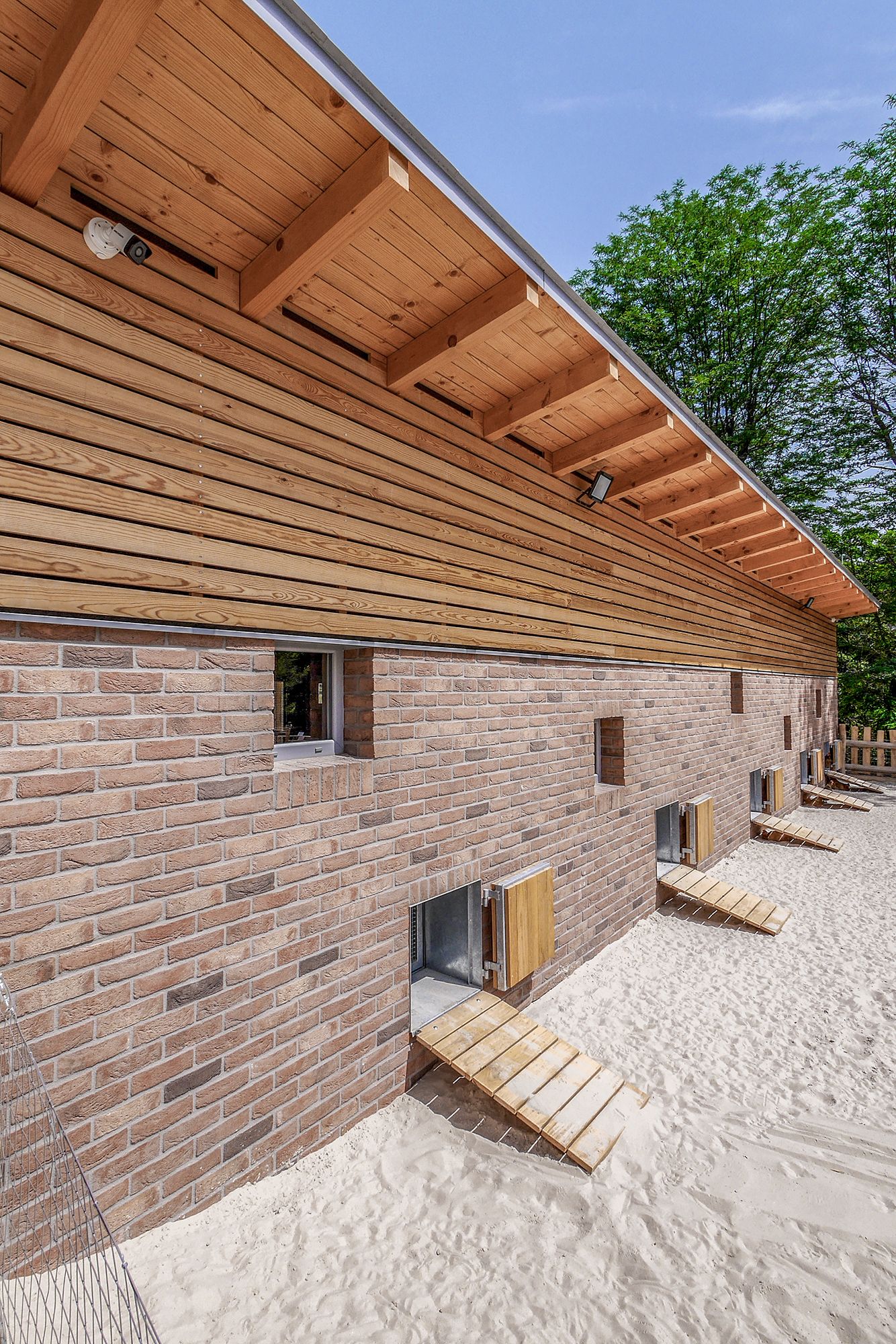 Háziállat bemutató