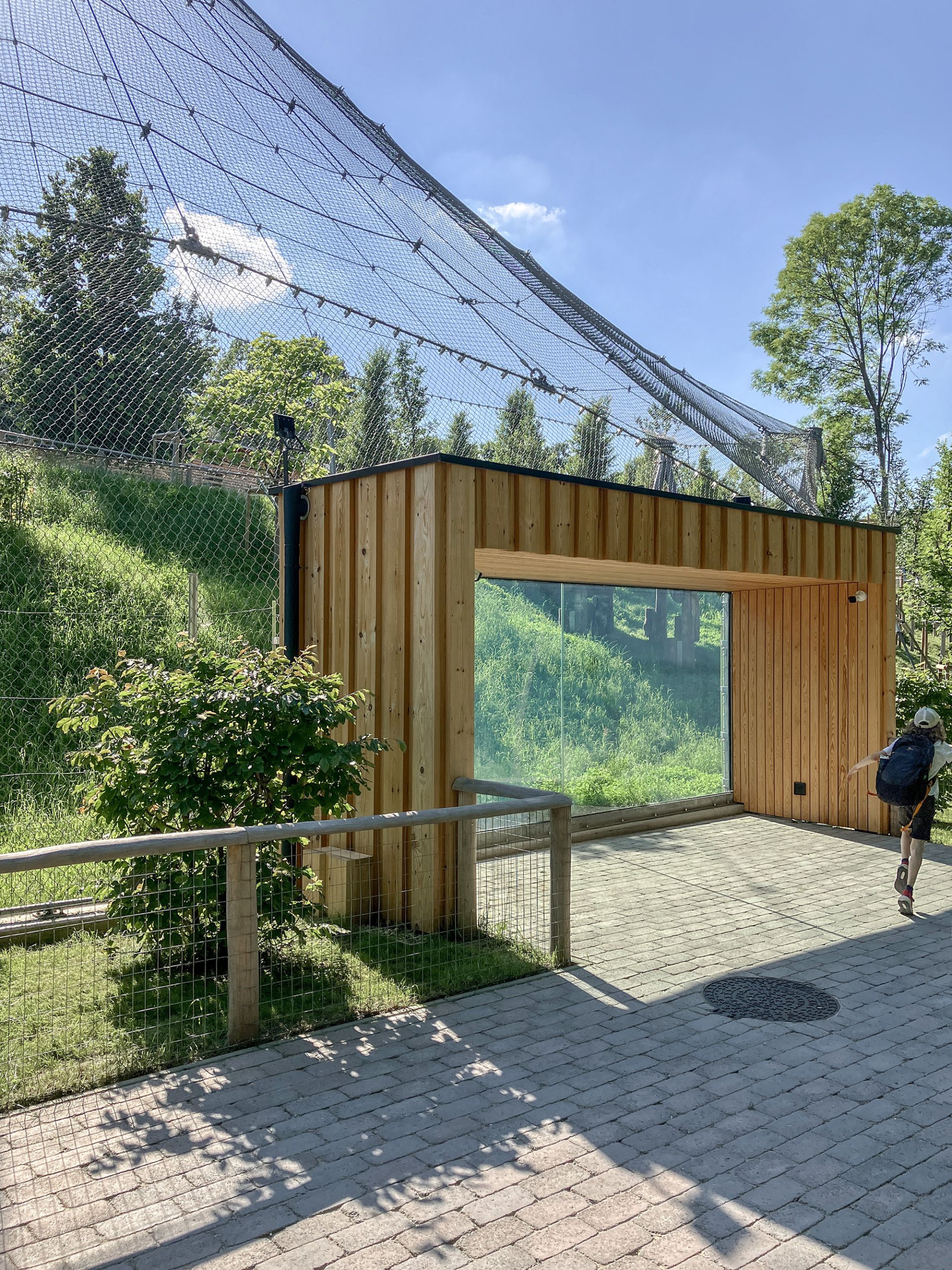 Enclosures for big cats